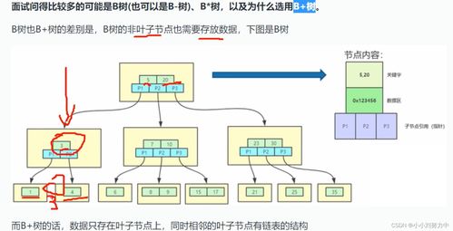 数据库基础知识